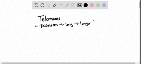 what-is-a-telomere-describe-how-telomere-shortening-is-thought-to-influence-variation-in-life-span-2