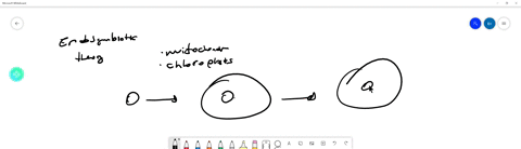 what-is-the-endosymbiotic-theory-how-does-it-help-to-explain-some-of-the-characterist-ics-of-mitocho