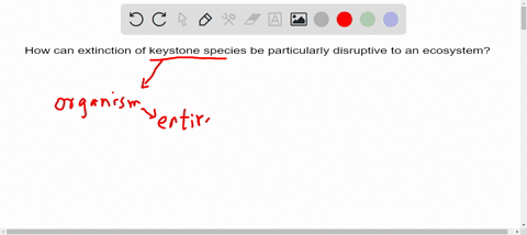 how-can-extinction-of-keystone-species-be-particularly-disruptive-to-an-ecosystem