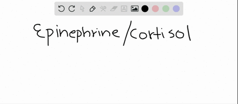 both-epinephrine-and-cortisol-are-secreted-in-response-to-stress-which-of-the-following-statements-2