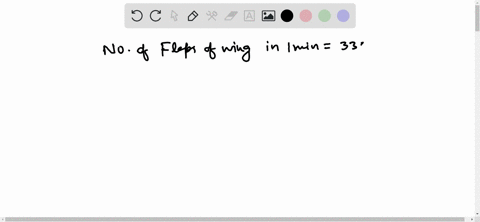 estimate-the-number-of-beats-per-second-of-a-hummingbirds-wings