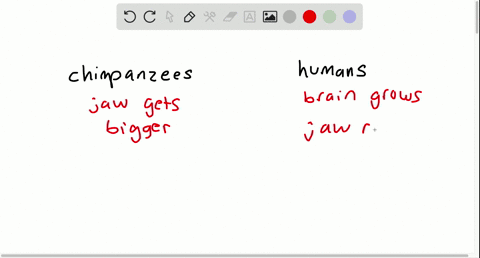 the-relatively-large-brain-case-and-small-jaw-of-humans-relative-to-chimpanzees-is-an-example-of-a-g