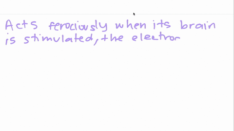 a-cats-ferocious-response-to-electrical-brain-stimulation-would-lead-you-to-suppose-that-the-electro