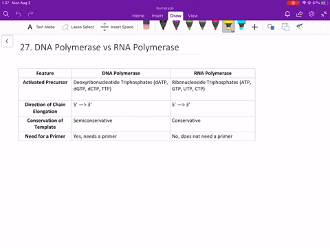 compare-dna-polymerase-and-rna-polymerase-from-e-coli-in-regard-to-each-of-the-following-features-a-