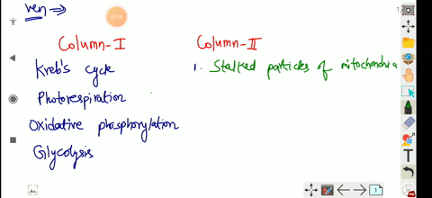 match-the-given-below-organelles-with-their-function-column-i-column-ii-a-krebs-cycle-1-stalked-part