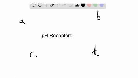 these-types-of-receptors-detect-changes-in-mathrmph-which-indicate-variations-in-the-level-of-carb-2
