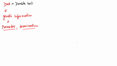 when-a-region-of-dna-that-contains-the-genetic-information-for-a-protein-is-isolated-from-a-bacteria