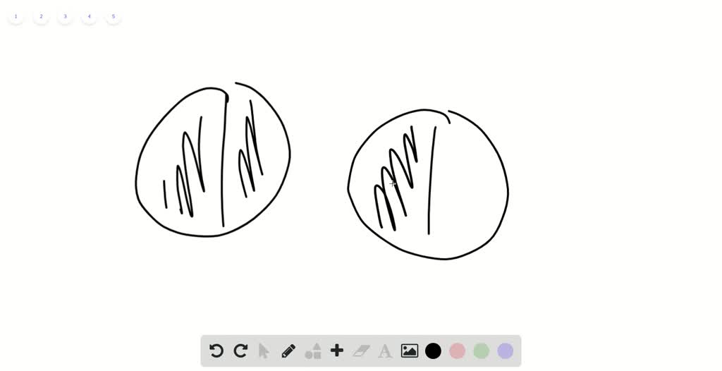 enter-the-difference-as-a-mixed-number-10-pls-help-me-brainly