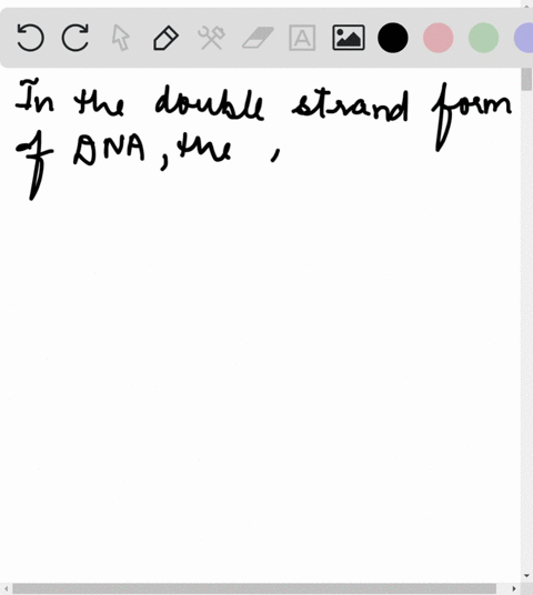 ⏩SOLVED:In the double-strand form of D N A, the base groups are… | Numerade