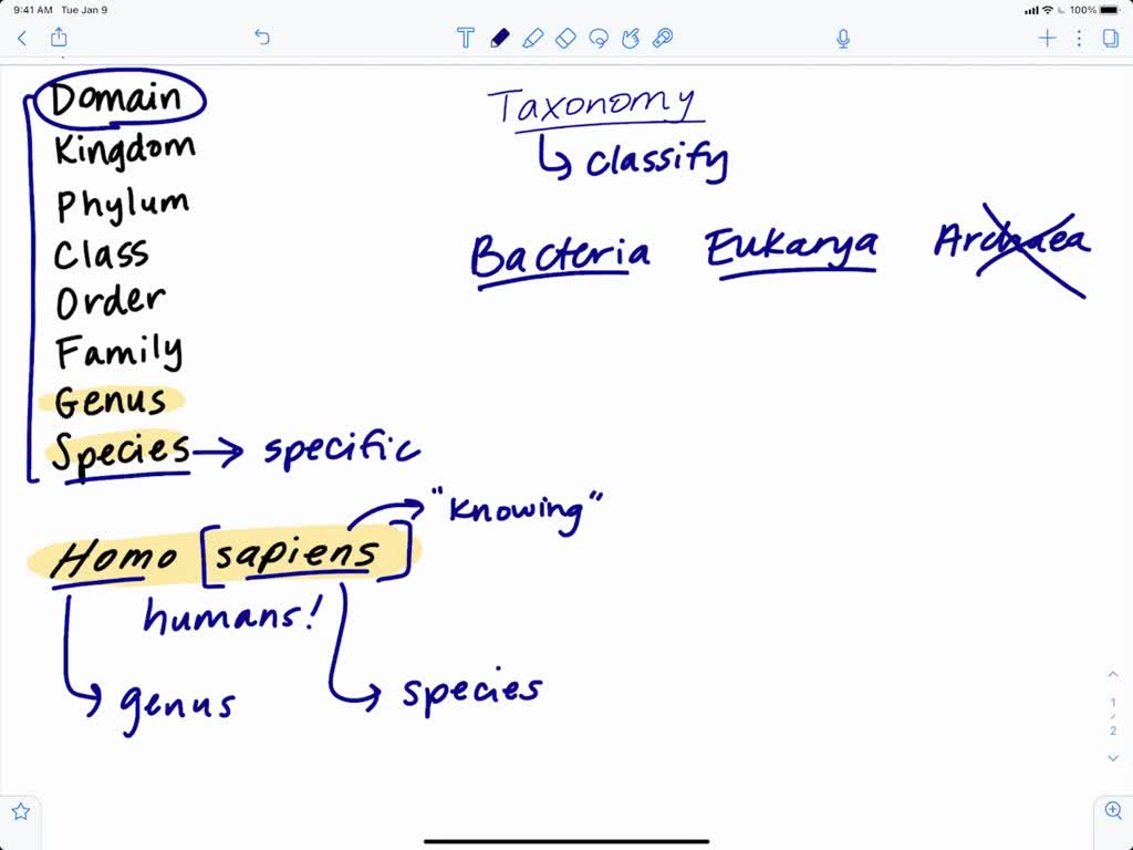 solved-fungi-are-assigned-to-domain-a-protista-b-archaea-c