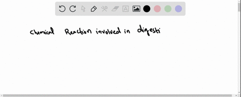 what-type-of-chemical-reaction-is-involved-in-the-digestion-of-starch