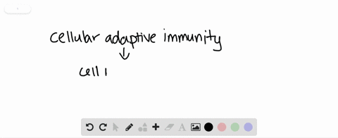cellular-adaptive-immunity-is-carried-out-by-________-a-b-cells-b-t-cells-c-bone-marrow-d-neutrophil