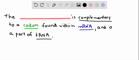 the-part-of-a-trna-that-is-complementary-to-a-codon-in-an-mrna-is-the-a-acceptor-stem-b-codon-c-pept
