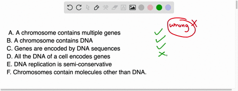 which-of-the-following-statements-about-genes-dna-and-chromosomes-is-wrong-a-a-chromosome-contains-m