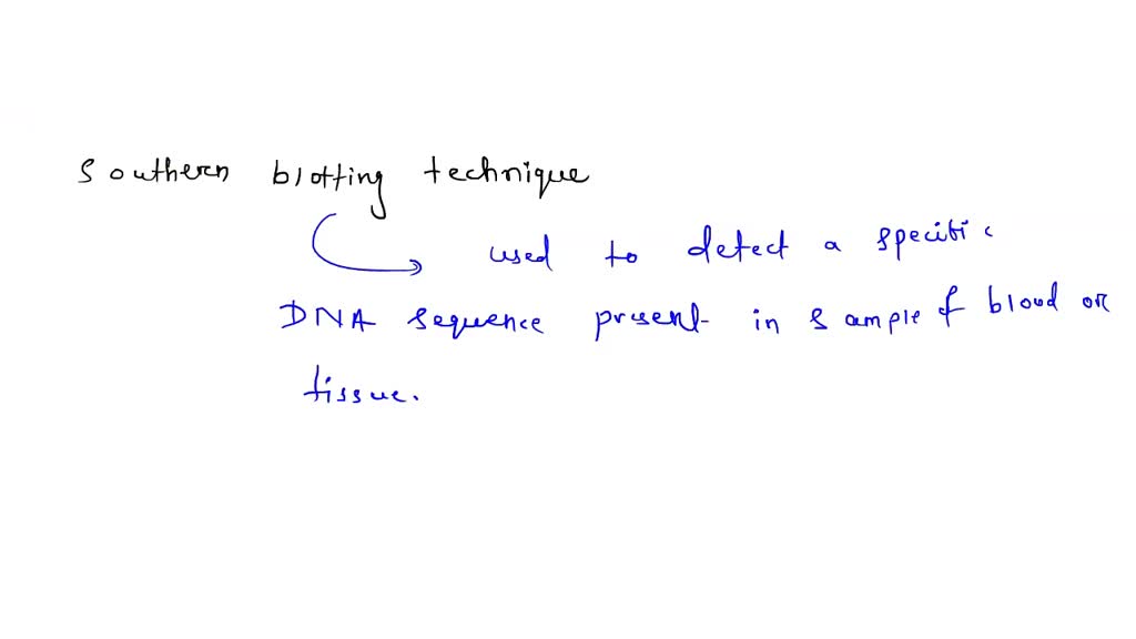SOLVED:In the Southern blot technique, is/are transferred from a gel to a  nitrocellulose or nylon membrane. (a) protein (b) RNA (c) DNA (d) bacterial  colonies (e) reverse transcriptase.