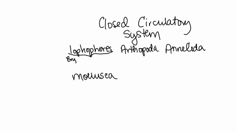 which-phylum-does-not-have-at-least-some-members-with-a-closed-circulatory-system-a-lophophorata-b-a