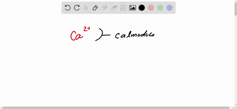 what-is-the-role-of-calmodulin-in-signaling-by-mathrmca2-ions-3