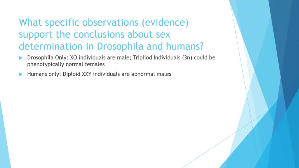 Solved What Type Of Evidence Supports The Conclusion That The Primary