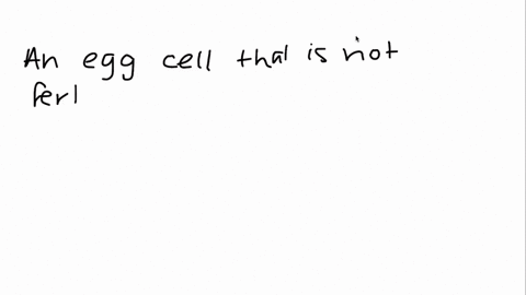 an-egg-cell-that-is-not-fertilized-follows-which-path-a-ovary-oviduct-uterus-cervix-b-ovary-uterus-o