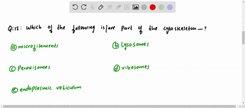 which-of-the-following-isare-part-of-the-cytoskeleton-a-microfilaments-b-lysosomes-c-peroxisomes-d-r