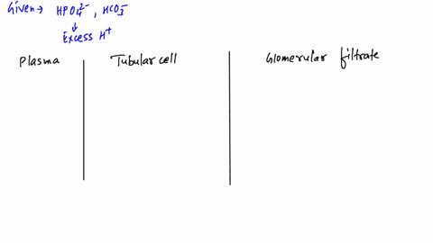 write-the-reactions-by-which-mathrmhpo_42-and-mathrmhco_3-absorb-excess-mathrmh-from-the-urine-befor
