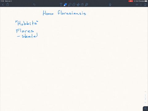search-the-internet-for-information-about-homo-floresiensis-what-types-of-evidence-are-paleontologis