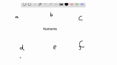 choose-the-class-of-nutrient-from-the-key-that-matches-the-description-each-answer-may-be-used-mor-2