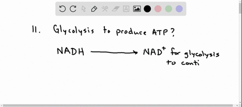 role-of-lactate-dehydrogenase-during-strenuous-activity-the-demand-for-atp-in-muscle-tissue-is-vastl