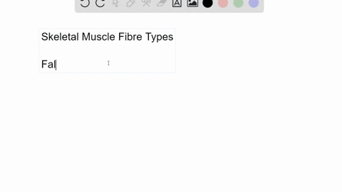 true-or-false-most-muscles-contain-a-predominance-of-one-skeletal-muscle-fiber-type-explain-the-reas