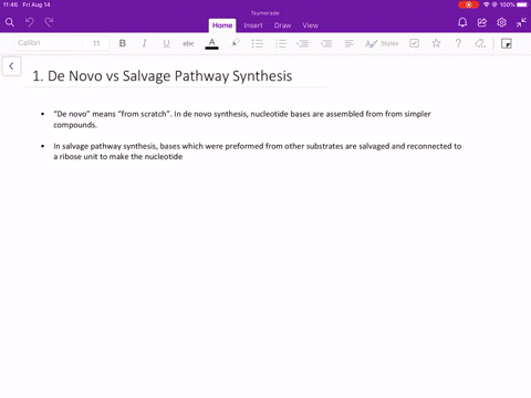 differentiate-between-the-de-novo-synthesis-of-nucleotides-and-salvage-pathway-synthesis