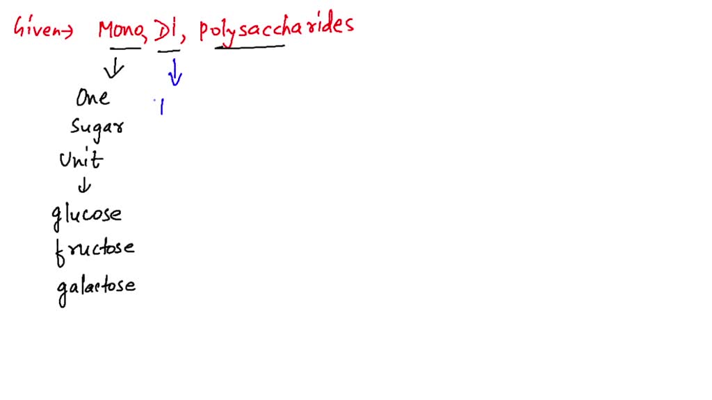 what-are-the-structural-differences-among-monosaccharides