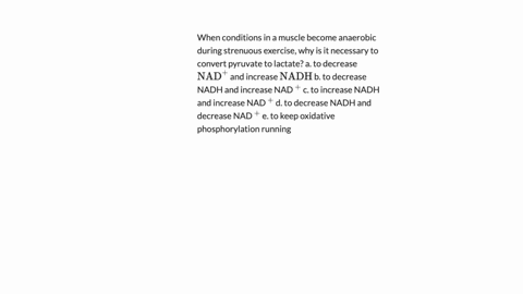 when-conditions-in-a-muscle-become-anaerobic-during-strenuous-exercise-why-is-it-necessary-to-conver