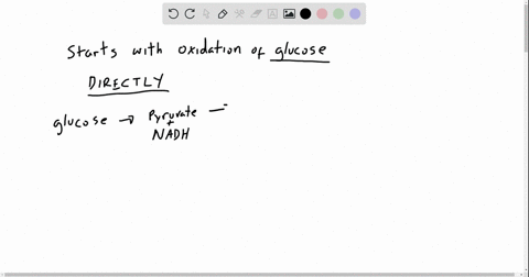 the-source-of-energy-that-directly-drives-the-synthesis-of-atp-during-oxidative-phosphorylation-is-t