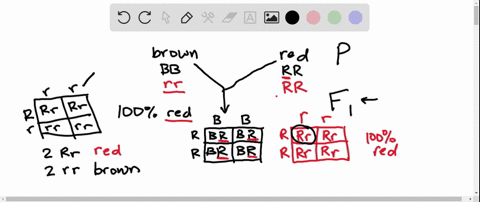 the-type-of-cross-described-in-question-2-is-a-an-f_2-cross-b-a-dihybrid-cross-c-a-test-cross-d-a--2