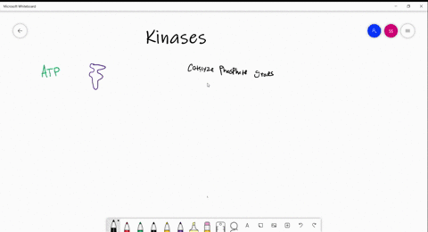 chemical-connections-22-b-pkm-zeta-is-a-type-of-enzyme-called-a-kinase-kinases-are-very-important-in
