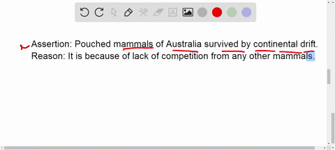 SOLVED:C Main Point The conclusion is that Australia's comparatively