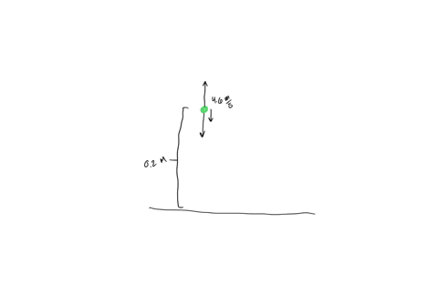 ballistic-seed-dispersal-some-plants-disperse-their-seeds-when-the-fruit-splits-and-contracts-propel