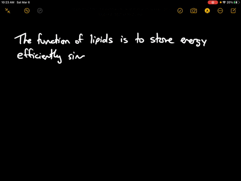 describe-the-function-of-lipids