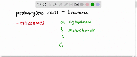in-prokaryotic-cells-ribosomes-are-found-inon-the-a-cytoplasm-b-mitochondrion-c-nucleus-d-endoplasmi