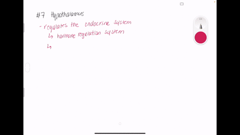 the-brain-structure-responsible-for-initiating-action-along-the-two-major-pathways-through-which-t-3