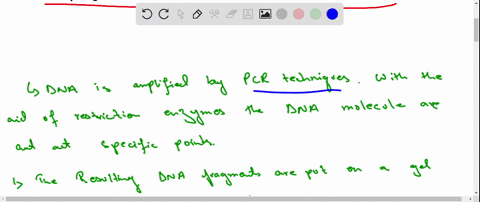 chemical-connections-25-mathrmc-after-having-been-cut-by-restriction-enzymes-how-are-dna-fragments-2