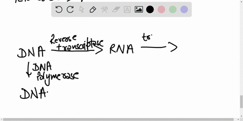 give-the-name-of-the-enzyme-that-catalyzes-each-of-the-following-reactions-a-makes-a-dna-strand-fr-2