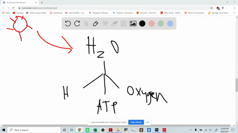 the-oxygen-given-off-by-plants-comes-from-a-atp-b-nadp-c-chlorophyll-a-d-pgal-e-water
