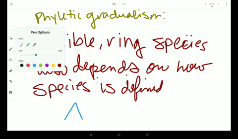 phyletic-gradualism-or-transformation-is-a-model-of-evolution-which-hypothesizes-that-most-speciatio