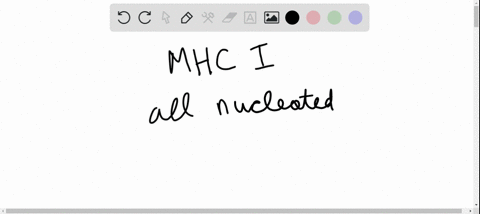 which-cells-express-mhc-class-i-molecules-in-a-patient-a-red-blood-cells-b-antigen-presenting-cells-