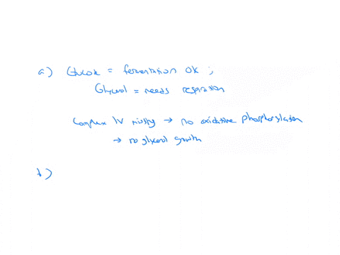a-mutant-haploid-strain-of-saccharomyces-cerevisiae-yeast-called-operatornamecox-2-1-was-found-that-