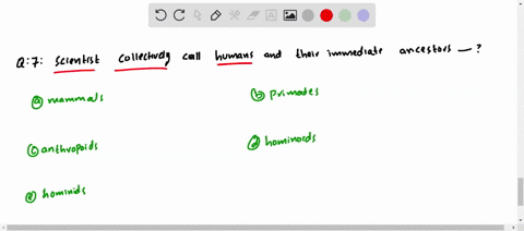 scientists-collectively-call-humans-and-their-immediate-ancestors-a-mammals-b-primates-c-anthropoids
