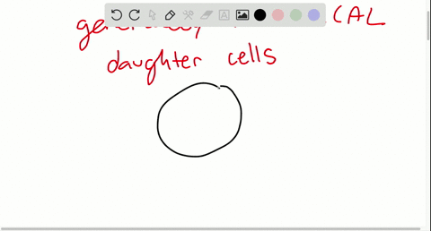 if-a-parent-cell-has-18-chromosomes-before-mitosis-how-many-chromosomes-will-the-daughter-cells-have