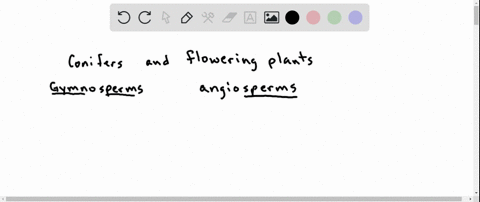 conifers-and-flowering-plants-are-classified-in-the-same-phylum-which-of-the-following-characteristi