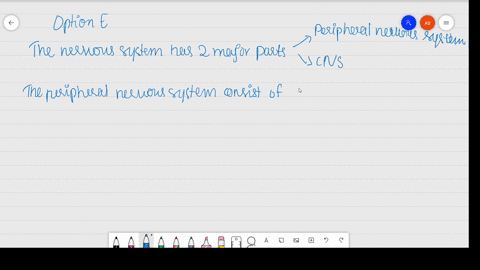 the-peripheral-nervous-system-a-connects-the-brain-to-the-spinal-cord-b-calms-the-body-after-an-emer